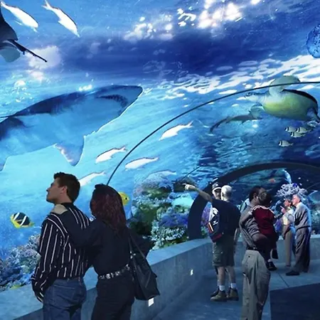 Piyes Hotel Antália